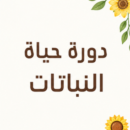 مطويه دورة حياة النباتات علوم ثالث ابتدائي