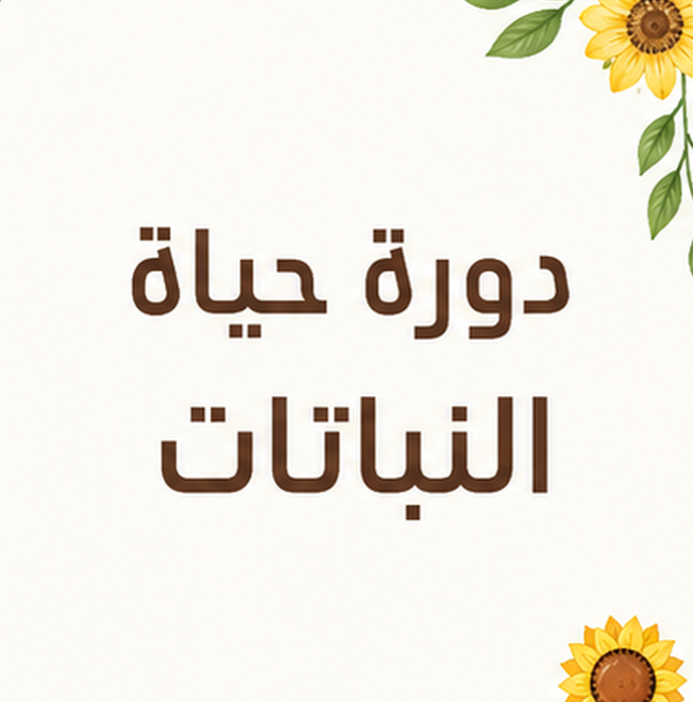 مطويه دورة حياة النباتات علوم ثالث ابتدائي
