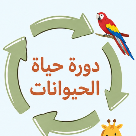 مطويه دورة حياة الحيوانات علوم ثالث ابتدائي الفصل الثاني الدرس الثاني